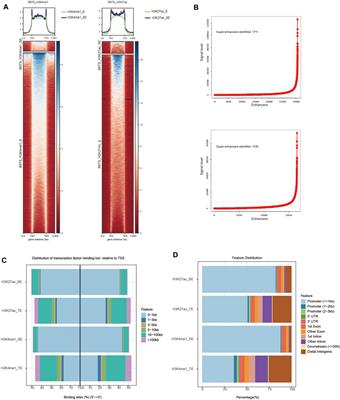 Super Enhancer Profiles Identify Key Cell Identity Genes During Differentiation From Embryonic Stem Cells to Trophoblast Stem Cells Super Enhencers in Trophoblast Differentiation